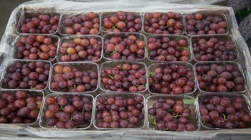Uvas lideraron el crecimiento de las agroexportaciones durante el primer trimestre
