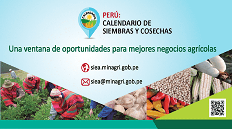 Crean aplicativo móvil para acceder a calendario de siembras y cosechas