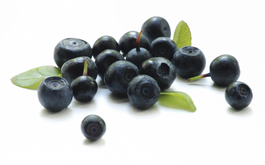 Un nuevo berry podría llegar para ampliar la oferta comercial