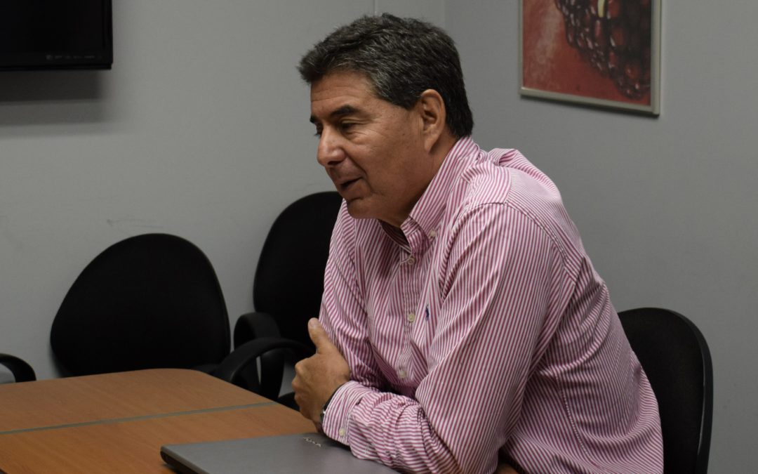 Exportaciones peruanas de frutas y hortalizas crecerían por lo menos 10% este año
