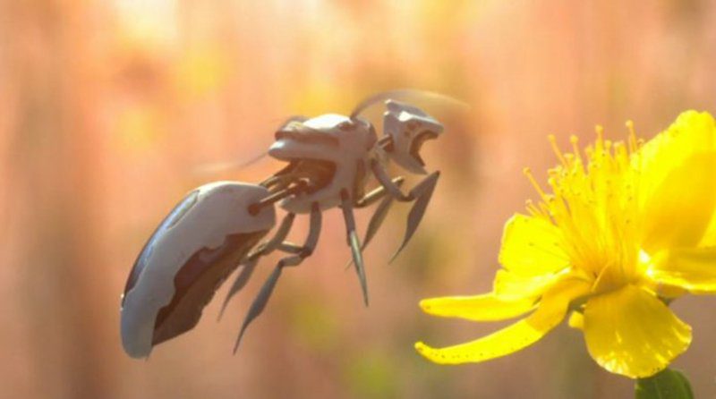 Walmart archiva patente para abejas robóticas autónomas