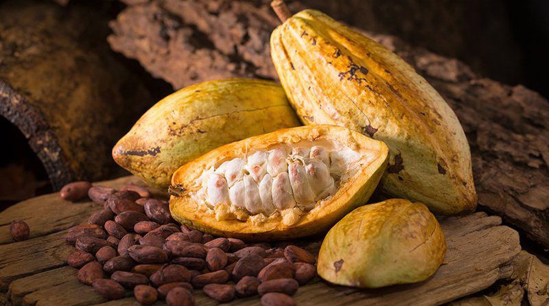 Inacal aprueba norma técnica que impulsa la calidad, trazabilidad y competitividad del cacao peruano