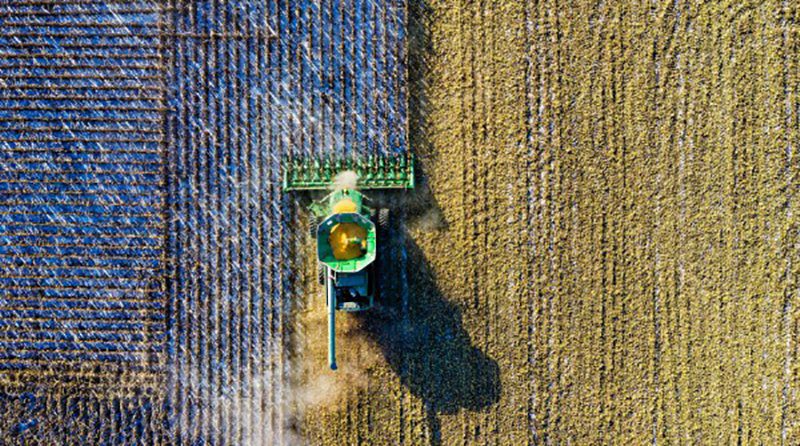 Tres tecnologías disruptivas que están cambiando el rumbo de la agricultura