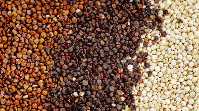 Quinua peruana: Primer envío a China se realizaría este año