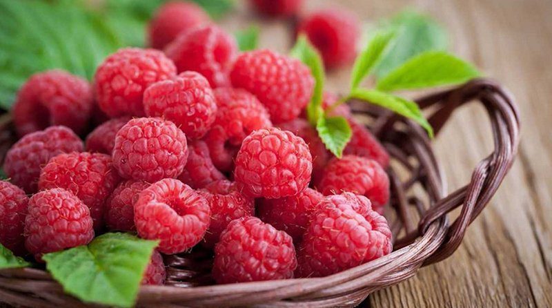 Demanda internacional impulsa exportaciones peruanas de frambuesas y moras