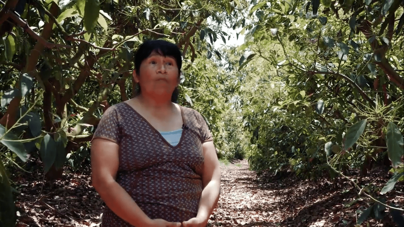 Igualdad de oportunidades en el agro