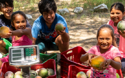 Conoce “Mangos a la obra” una iniciativa que busca mejorar la nutrición, educación y conciencia ambiental