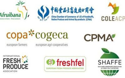 Coalición Mundial de Industrias de Productos Frescos pide se declaren las frutas y verduras como bienes estratégicos