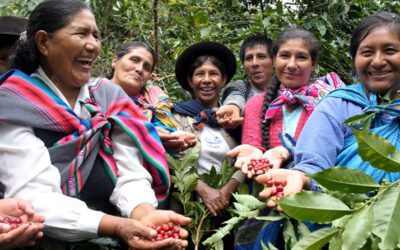 Perú obtiene el premio al mejor café del mundo en Italia