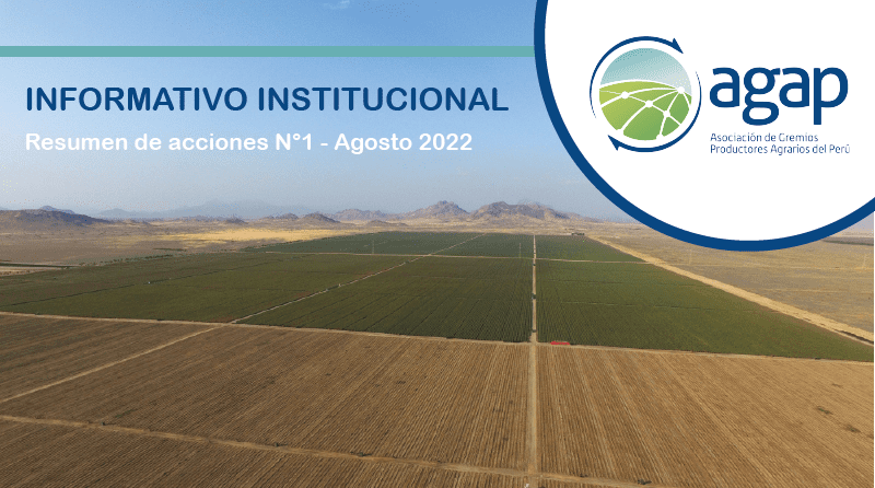 Informativo Institucional – Agosto 2022