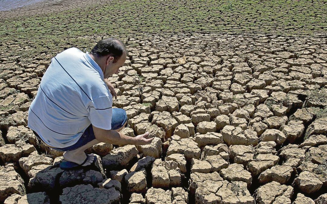 El 30% de áreas de cultivo en la sierra se perdieron por la mayor sequía en 58 años