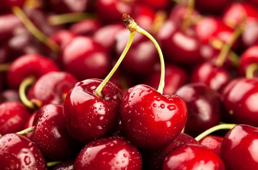 Perú busca deplazar a Chile con una cereza que madura más pronto y que accedería antes a mercados premium del Asia
