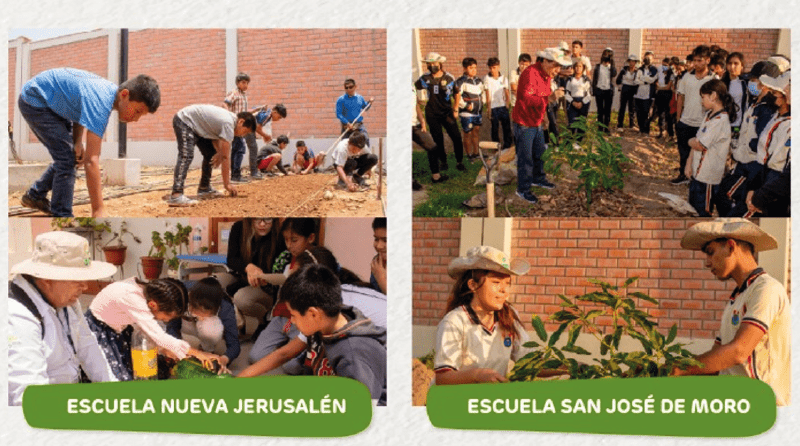 Huertos Bosque: una solución para mejorar la nutrición  en el Perú desde la escuela