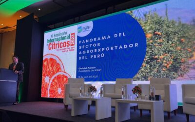 Problemas actuales de la citricultura peruana