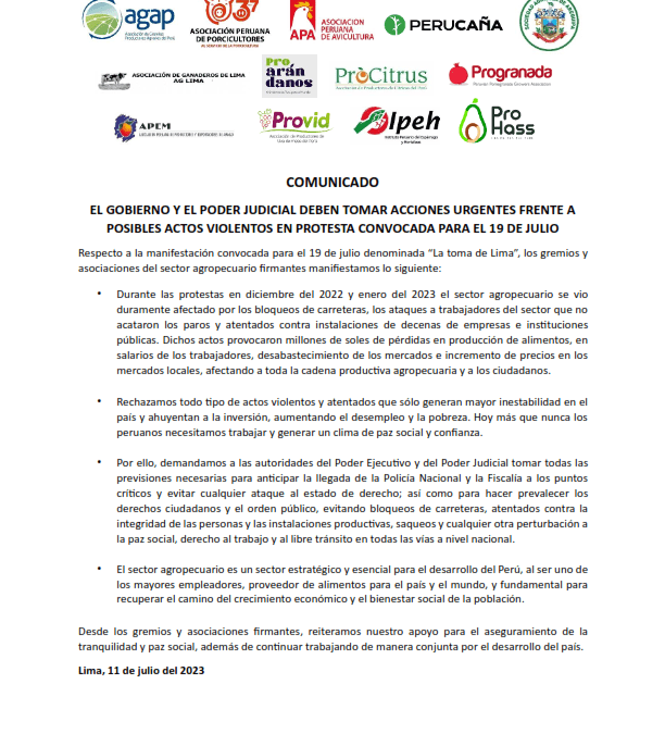 COMUNICADO: El Gobierno y el Poder Judicial deben tomar acciones urgentes frente a posibles actos violentos en protesta convocada para el 19 de julio