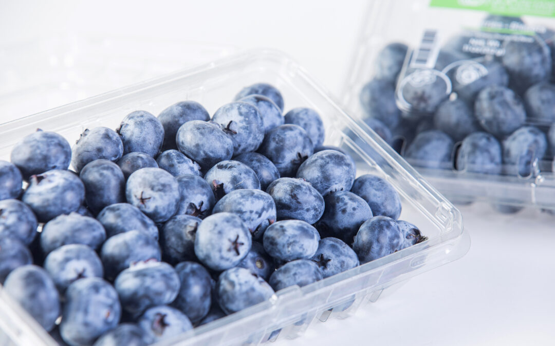 BLOOM FRESH™ adquiere el programa de desarrollo de nuevas variedades de Inka’s Berries, pionero en variedades de arándanos sin frío