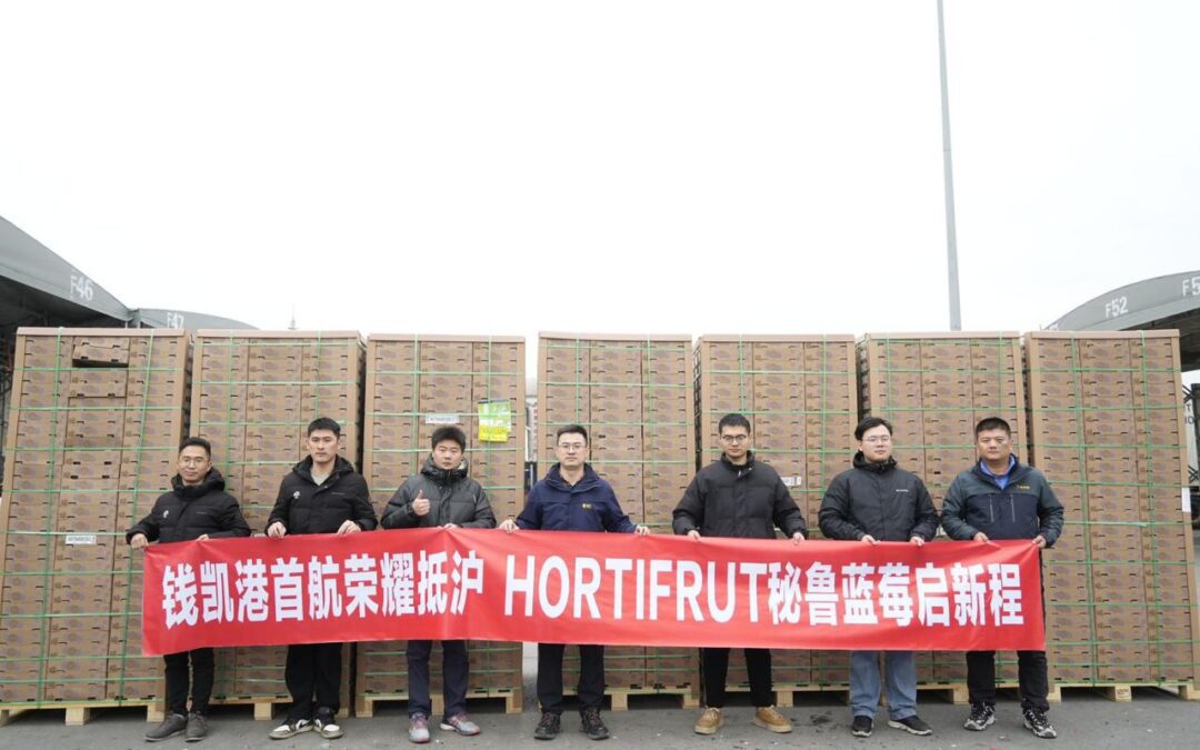 Arribó a China primer envío de arándanos de Hortifrut a través del Puerto de Chancay