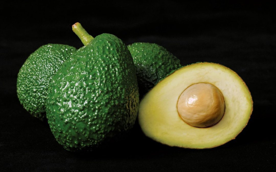 ProHass: exportación peruana de palta Hass ascendería a alrededor de 655.000 toneladas