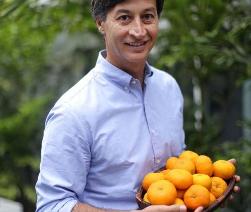 Estuardo Masías: “Exportación de cítricos peruanos se mantiene estable en un mercado competitivo”