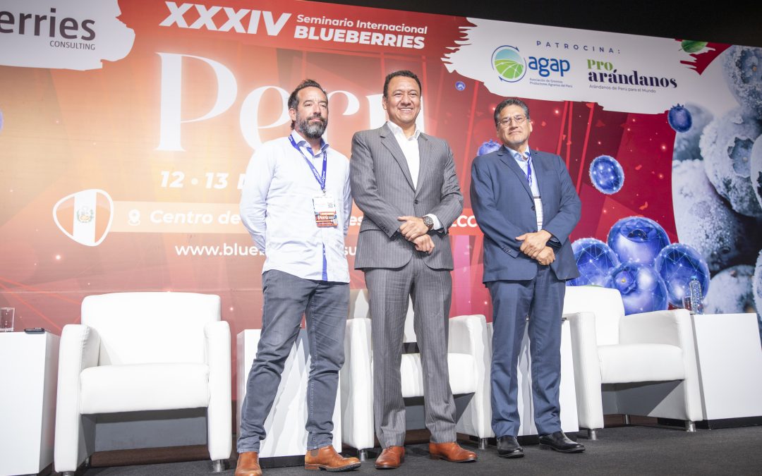 Exportaciones peruanas de arándanos superarían los US$ 3.000 millones en 2026