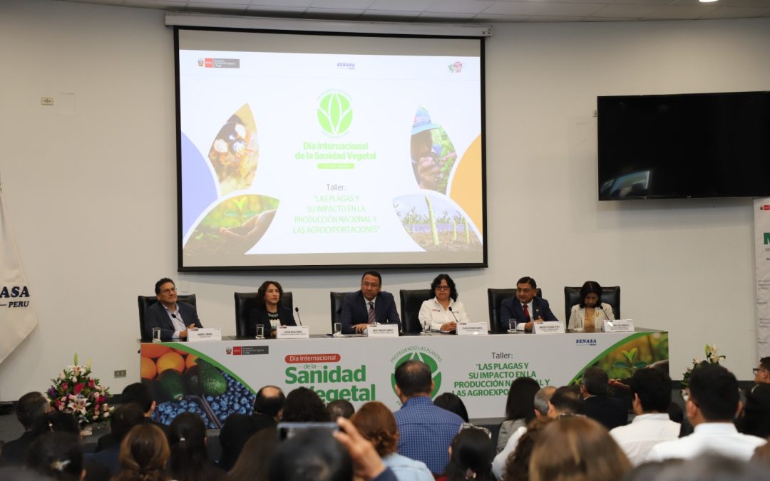MIDAGRI: “La sanidad vegetal es clave para la agricultura familiar y la seguridad alimentaria del país”