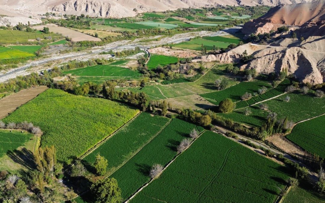 Perú: agroexportaciones se duplicarán con Chavimochic, Majes Siguas, Alto Piura y Chinecas