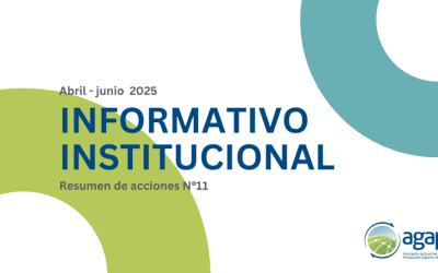 Informativo Institucional abril – junio 2025
