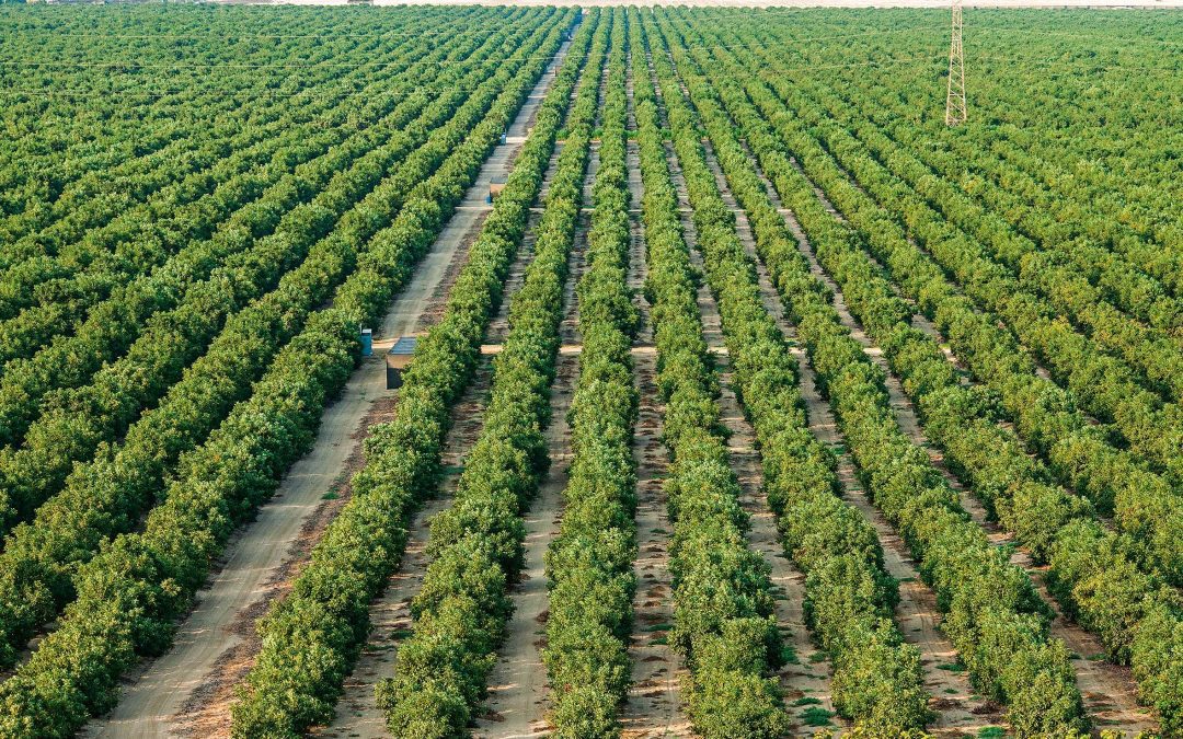 Fenómeno de El Niño: estos son los sectores clave más expuestos y cuál es el impacto económico que se estima, ¿hay avances en prevención?