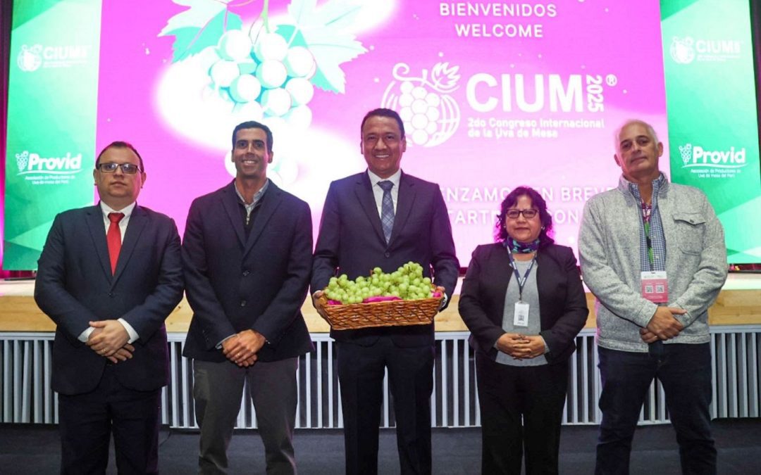 Cadena productiva de la uva tiene potencial para un mayor desarrollo en el Perú