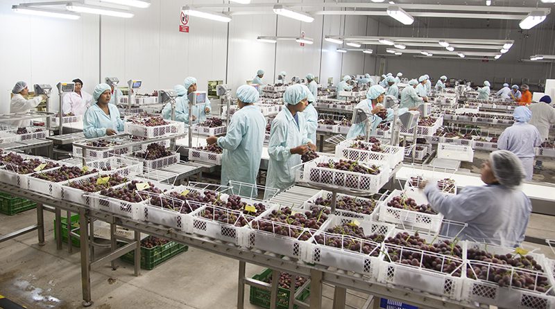Ley agraria dará frutos para el mercado laboral
