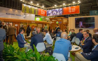 Perú será País Socio Oficial en Asia Fruit Logistica 2025 y conectará a América Latina con Asia en Lima