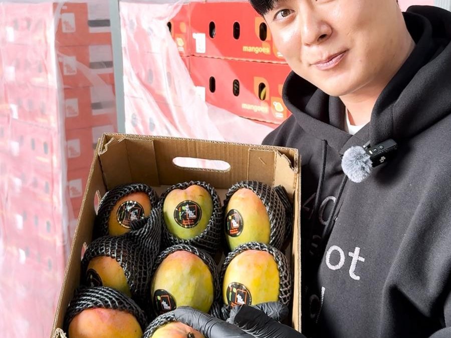 Mango Edward peruano ingresa por primera vez al mercado de Corea del Sur