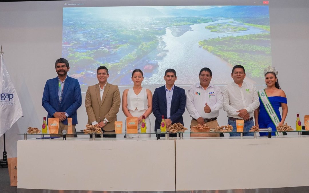 Convención del Jengibre 2026 impulsará cadena productiva en beneficio de agricultores