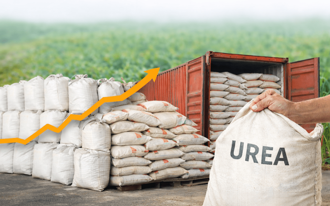 Se eleva el precio de los fertilizantes