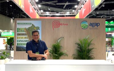 Gabriel Amaro en Fruit Attraction 2026: “Año a año hay mayor competencia en el arándano”