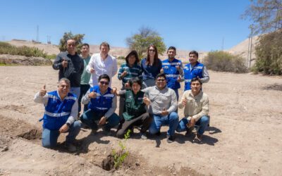 Moquegua apuesta por la producción de granada y nuevas oportunidades de exportación hacia China